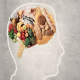 Yiyecek seçimimiz beynimizi ve bilişselliğimizi etkiliyor